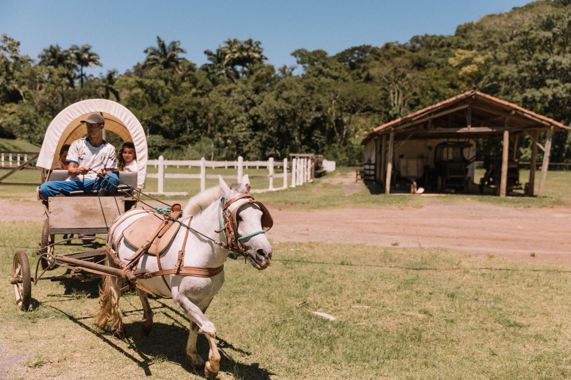 Resort Fazenda 3 Pinheiros Engenheiro Passos Exteriör bild